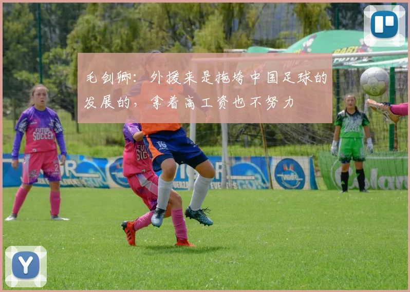 毛剑卿：外援来是拖垮中国足球的发展的，拿着高工资也不努力
