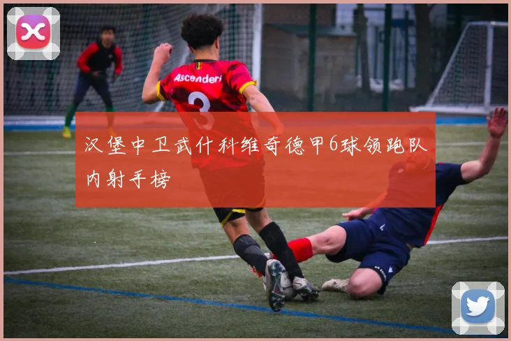 汉堡中卫武什科维奇德甲6球领跑队内射手榜