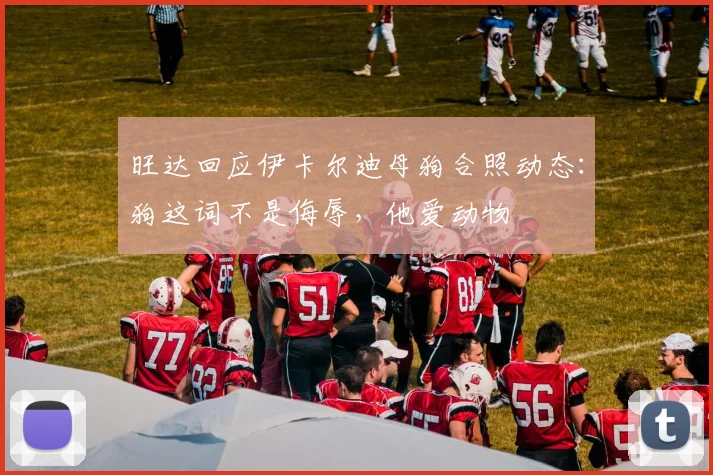 旺达回应伊卡尔迪母狗合照动态：狗这词不是侮辱，他爱动物