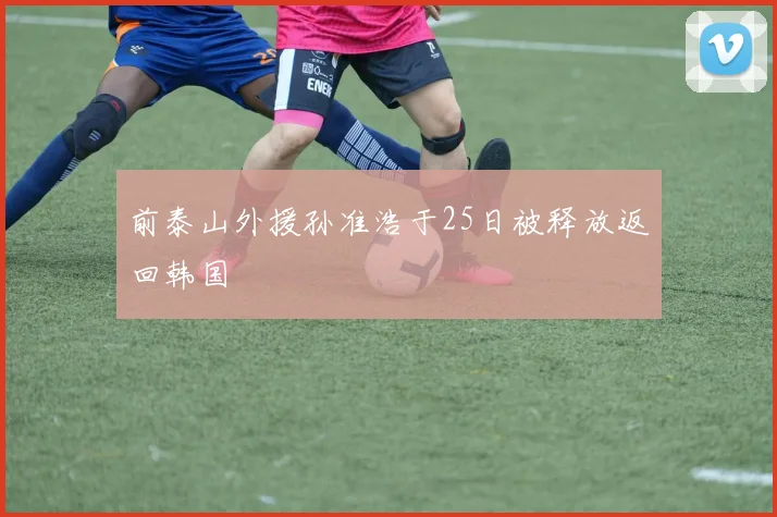 前泰山外援孙准浩于25日被释放返回韩国